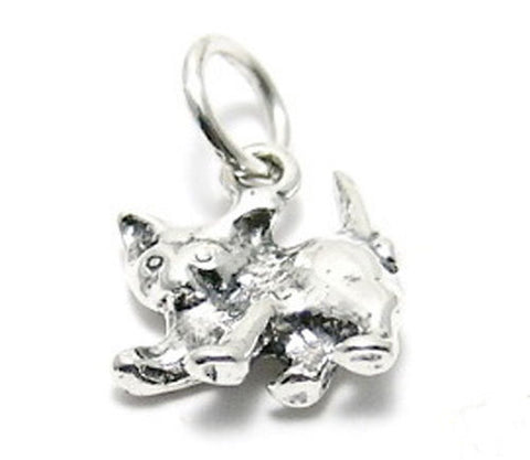 Kitten in 3D, Ugly but Adorable Charm. Sterling Silver